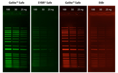 MSigma_400x248_GeliteSafe - 1 AAT Bioquest Gelite™ Safe DNA Gel Stain for staining DNA