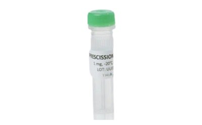 PreScission Protease PreScission protease (PSC) from TriAltus™