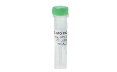 SUMO Protease Sumo protease from TriAltus™