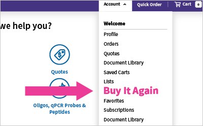 Buy It Again Account menu with the link to buy it again