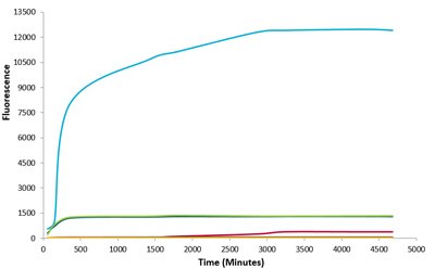 StressMarq Alpha Synuclein Monomers StressMarq Alpha Synuclein Monomers (Type 1), 100 µg