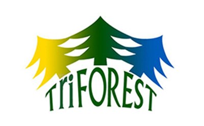 TriForest Logo TriForest logo in yellow, blue and green