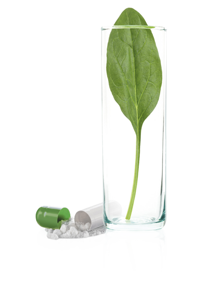 Metafolin®/Arcofolin™ L-Methylfolate Metafolin®/Arcofolin™ L-Methylfolate