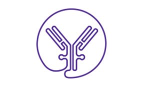 ADC product characterization 생체요법 개발을 위한 ADC 제품 특성화, 검사 및 분석