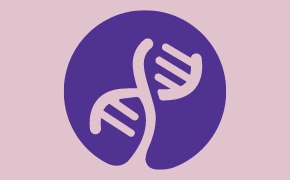 Technical Markers Technical Markers