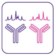 mAb interlot and biosimilar comparability Monoclonal antibody (mAb) based assay packages to determine interlot and biosimilar comparability