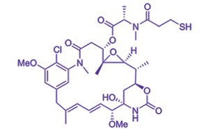 DM1 cGMP quality payload for your drug conjugate programs Chemical structure of DM1 (CAS 139504-50-0)