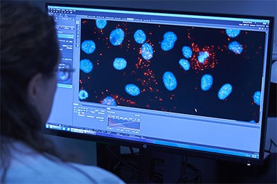 QC scientist viewing computer screen during analysis of OEM or CMO diagnostic assay QC scientist viewing computer screen during analysis of OEM or CMO diagnostic assay