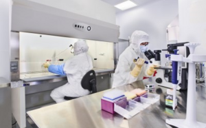 Cell Bank Manufacturing Webinar Images Two lab technicians, fully equipped in personal protective equipment, focused on their work as they collaborate on a cell bank manufacture in a controlled laboratory environment. One looks through a microscope, the other works under a fume hood.