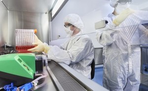 Virus Bank Manufacturing Webinar Images Two lab technicians, fully equipped in personal protective equipment, focused on their work as they collaborate on a virus bank manufacture. They are working under a fume hood.
