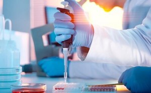 Chemiflex Critical Raw Materials Chemiflex Critical Raw Materials