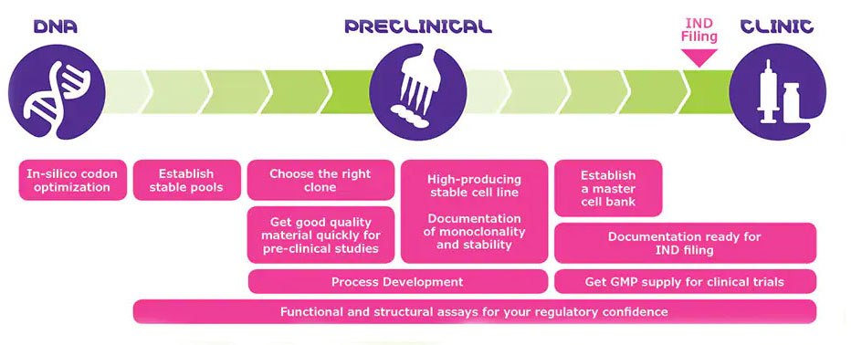 DNA 개발에서 임상 적용까지 – 플러그 앤 플레이 업스트림 개발 압축된 일정으로 클론 선택과 공정 개발을 병행하여 진행합니다