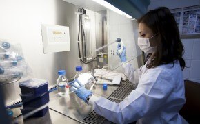 mAb bulk harvest release testing Testing of mAb bulk harvests can confirm the absence of adventitious agents and help protect downstream processing