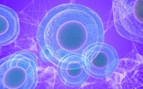 Final Product testing 완제품 출시 검사