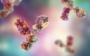 Monoclonal antibody final product testing mAb 제품 출시를 위한 GMP 생물 안전성 검사