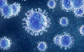 Vaccine bulk lot release testing Biosafety testing for vaccine development