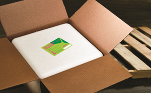 Polystyrene Cooler Return Program Polystyrene Cooler Return Program