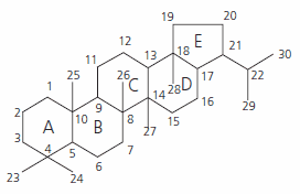 Hopane characteristic structure Hopane characteristic structure