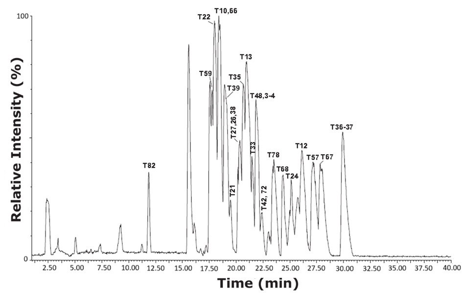 Base peak intensity (BPI) chromatogram of tryptic peptides from bovine serum albumin (cow) using the HILIC mode gradient conditions.  A base peak chromatogram resulting from the analysis of tryptic peptides derived from bovine serum albumin at a concentration of 10 pmol/μL, using HILIC mode gradient separation. The x-axis represents retention time in minutes, spanning from 0 to 40, while the y-axis shows relative intensity in percentage, ranging from 0 to 100. The chromatographic profile reveals a complex peptide mixture with multiple sharp peaks of varying heights distributed across the time range. Each prominent peak is labeled with identifiers such as T82, T59, T22, T10, T66, T13, T48, T3, T4, T33, T78, T12, T57, T67, T36, T37, and others, indicating specific tryptic peptide fragments. The most intense signals appear between 15 and 25 minutes, suggesting a concentration of peptide elution in this region. The peak labeled T10,66 is among the highest in intensity, indicating strong ion signal response for that peptide. The detailed labeling and peak separation provide insights into the complexity and efficiency of peptide mapping under HILIC gradient conditions.