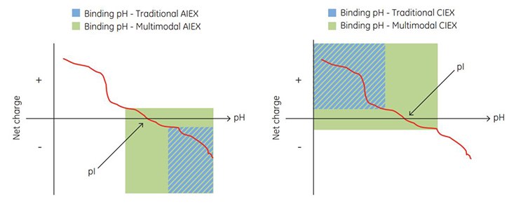 Net charge of a protein vs pH Net charge of a protein vs pH