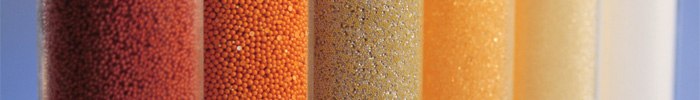 Polymeric Resins Polymeric Resins