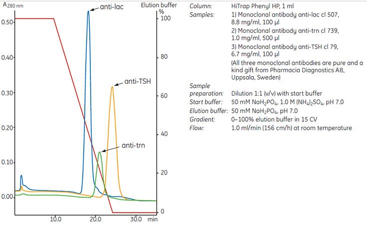 Three monoclonal antibodies interact Three monoclonal antibodies interact differently under identical running conditions using a phenyl ligand. A suitable ligand must be determined empirically.