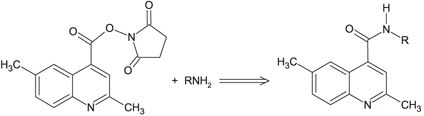 DMQC-OSu reaction with aliphatic amine.1 DMQC-OSu reaction