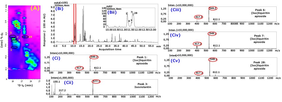 (A) Selected time interval (7.5 to 25 min) of contour plot showing the separation of peaks 1, 3, 6, 7, and 28; (Bi) 1D-LC chromatogram of licorice extract; (Bii) expansion of rectangle region in (Bi); Mass spectra with selected ion mass of (Ci) peak 1, (Cii) peak 3, (Ciii) peak 6, (Civ) peak 7, and (Cv) peak 28 using RP-LC×RP-LC-PDA-MS. The numbering of compounds is given in <b>Table</b> 1. A composite of several analytical plots and spectra related to the RP-LC×RP-LC-PDA-MS analysis of licorice extract. On the left, section (A) shows a contour plot focusing on a time interval from 7.5 to 25 minutes, highlighting the separation of peaks 1, 3, 6, 7, and 28. This plot features a colorful background with distinct contours marking different compounds. To the right, section (Bi) presents a 1D-LC chromatogram of the licorice extract, displaying a series of peaks over time, with the x-axis labeled as acquisition time and the y-axis showing response. An inset labeled (Bii) expands a rectangular region from (Bi), providing a closer view of peaks around 10 to 13 minutes. Below, sections (Ci), (Cii), (Ciii), (Civ), and (Cv) display mass spectra for peaks 1, 3, 6, 7, and 28, respectively. Each spectrum includes a series of vertical lines representing ion intensities at different mass-to-charge ratios (m/z), with key ions circled in red.