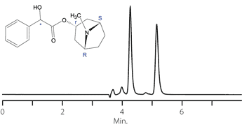 g004997-5218 Homatropine