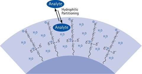 The HILIC partitioning process causing chromatographic retention. The HILIC partitioning process causing chromatographic retention.