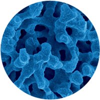 monolithic-silica-structure monolithic-silica-structure