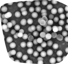 Scanning electron microscope (SEM) image of the Supel™ Carbon LC particles. Notice the narrow particle size distribution Scanning electron microscope (SEM) image of the Supel™ Carbon LC particles