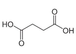 Chemical structure of Succinic acid Image result for Succinic acid