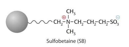 Sulfobetaine (SB) Sulfobetaine (SB)