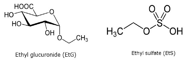 Molecular structure of EtG and EtS Structural formula of Ethyl glucuronide and Ethyl sulfate