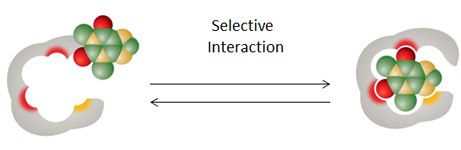 supelmip-selective-interaction supelmip-selective-interaction