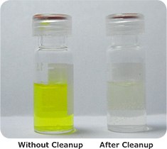 Turmeric Extracts Turmeric Extracts