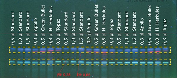 Detection of bitter Figure 1c: Detection of bitter hop at 366 nm