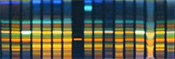 History of Thin-Layer Chromatography - High-Performance Thin-Layer Chromatography History of Thin-Layer Chromatography - High-Performance Thin-Layer Chromatography