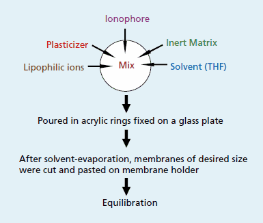 Preparation of an ionselective membrane for potentiometric sensors Preparation of an ionselective membrane for potentiometric sensors