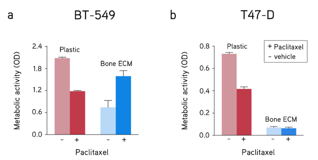 dECM Hydrogels utilized as a model of breast cancer metastasis to bone showed differential drug responses of breast cancer subtypes compared to culturing on plastic (no ECM). Response to drug treatment (paclitaxel, 5 µM) and vehicle (DMSO) of (A) BT-549 cells and (B) T47-D cells for 48 hours. Breast cancer metastasis assay.