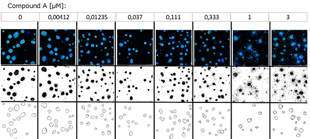 Dose response of compound A Dose response of compound A.
