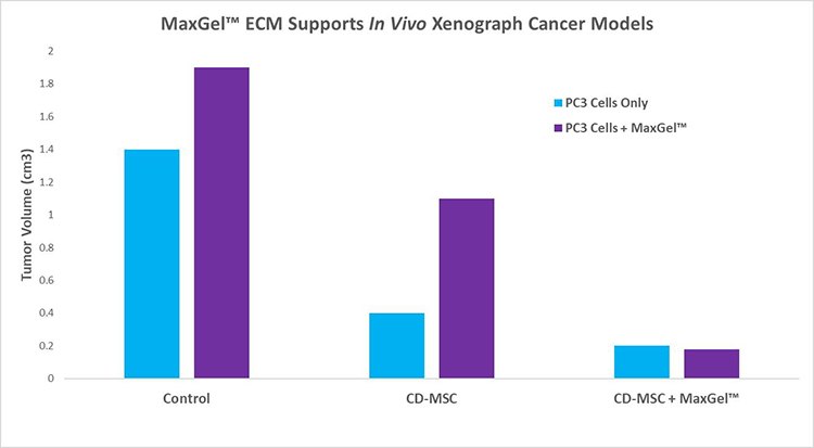 MaxGel™ ECM support in vivo xenograph cancer models. MaxGel™ ECM support in vivo xenograph cancer models.