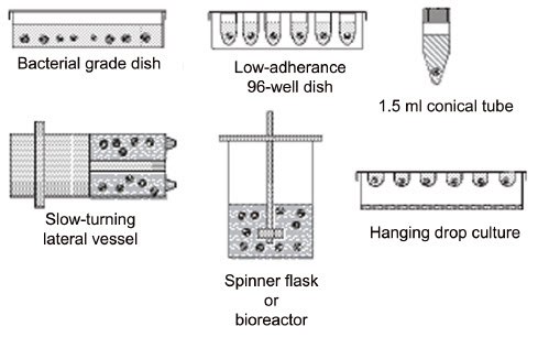 Some of the many methods used to generate embryoid bodies. Some of the many methods used to generate embryoid bodies.