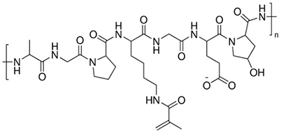 A structural chemical formula of Gelatin Methacryloyl (GelMA), showing a complex arrangement of carbon rings, chains, nitrogen bases, oxygen, and hydrogen atoms. The structure includes repeating units indicated by “(N)” to denote polymerization, with various functional groups such as hydroxyls, ketones, and amides. GelMA is a modified gelatin used in biomedicine and tissue engineering for creating hydrogels. A structural chemical formula of Gelatin Methacryloyl (GelMA), showing a complex arrangement of carbon rings, chains, nitrogen bases, oxygen, and hydrogen atoms. The structure includes repeating units indicated by “(N)” to denote polymerization, with various functional groups such as hydroxyls, ketones, and amides. GelMA is a modified gelatin used in biomedicine and tissue engineering for creating hydrogels.