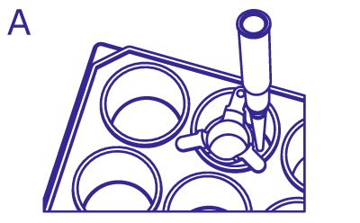 Schematic of replacing media while using Millicell<sup>®</sup> hanging inserts. A) Media replaced around the insert on the basolateral side from above.  From above, pipette enters the well to the side of insert within the same well to remove the media in the well without disturbing the cells or media within the insert