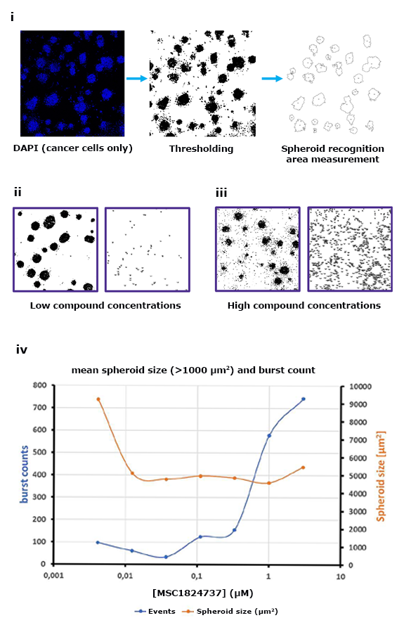 Spheroid killing burst assay Spheroid killing burst assay.