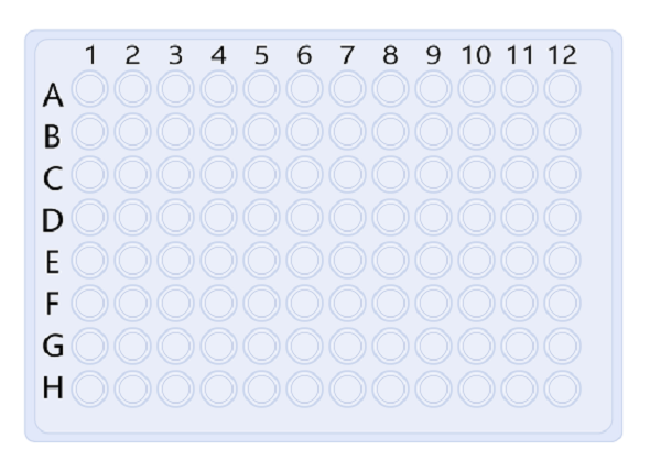 Click to download this 96 well-plate template. 96 well-plate template
