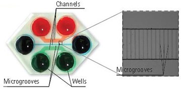 Illustration of the Plasma-bonded AXIS® Device Illustration of the Plasma-bonded AXIS® Device