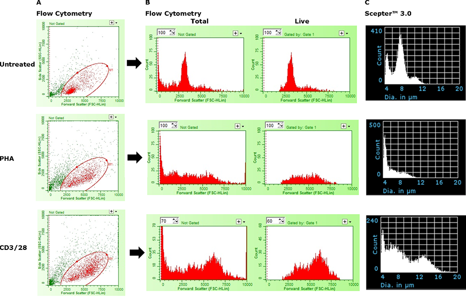 Limitations of the Scepter™ 3.0 Cell Counter in absolute discrimination of activated and non-responsive cells Limitations of the Scepter™ 3.0 Cell Counter in absolute discrimination of activated and non-responsive cells.